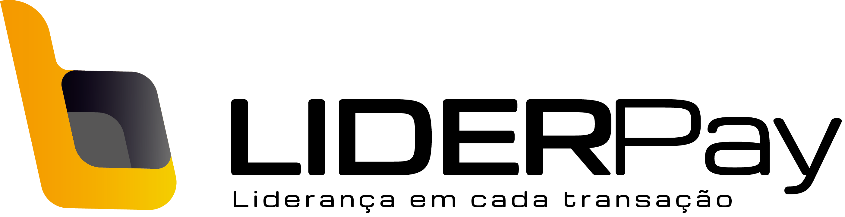 LIDERPay Logo